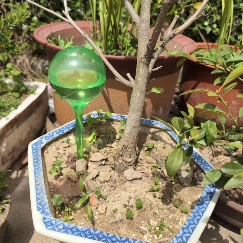 6PCS Indoor Plants Self Wateri - огляд і ціна Smart Garden Furniture
