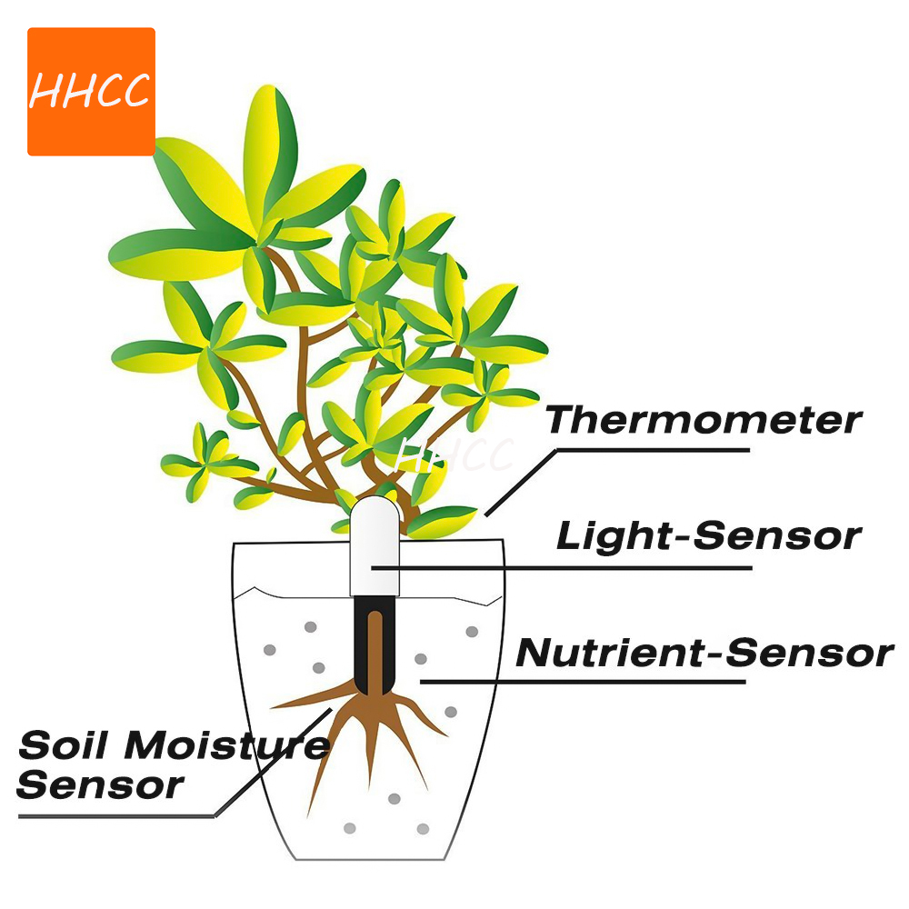 HHCC Flora Monitor Flower Care - огляд і ціна Smart Garden Xiaomi